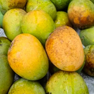 হিমসাগর (আমের রাজা) পয়েন্ট ডেলিভারি